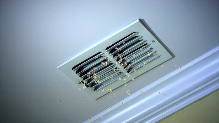 Best Local Air Duct Cleaning Services  in Good Hope, AL